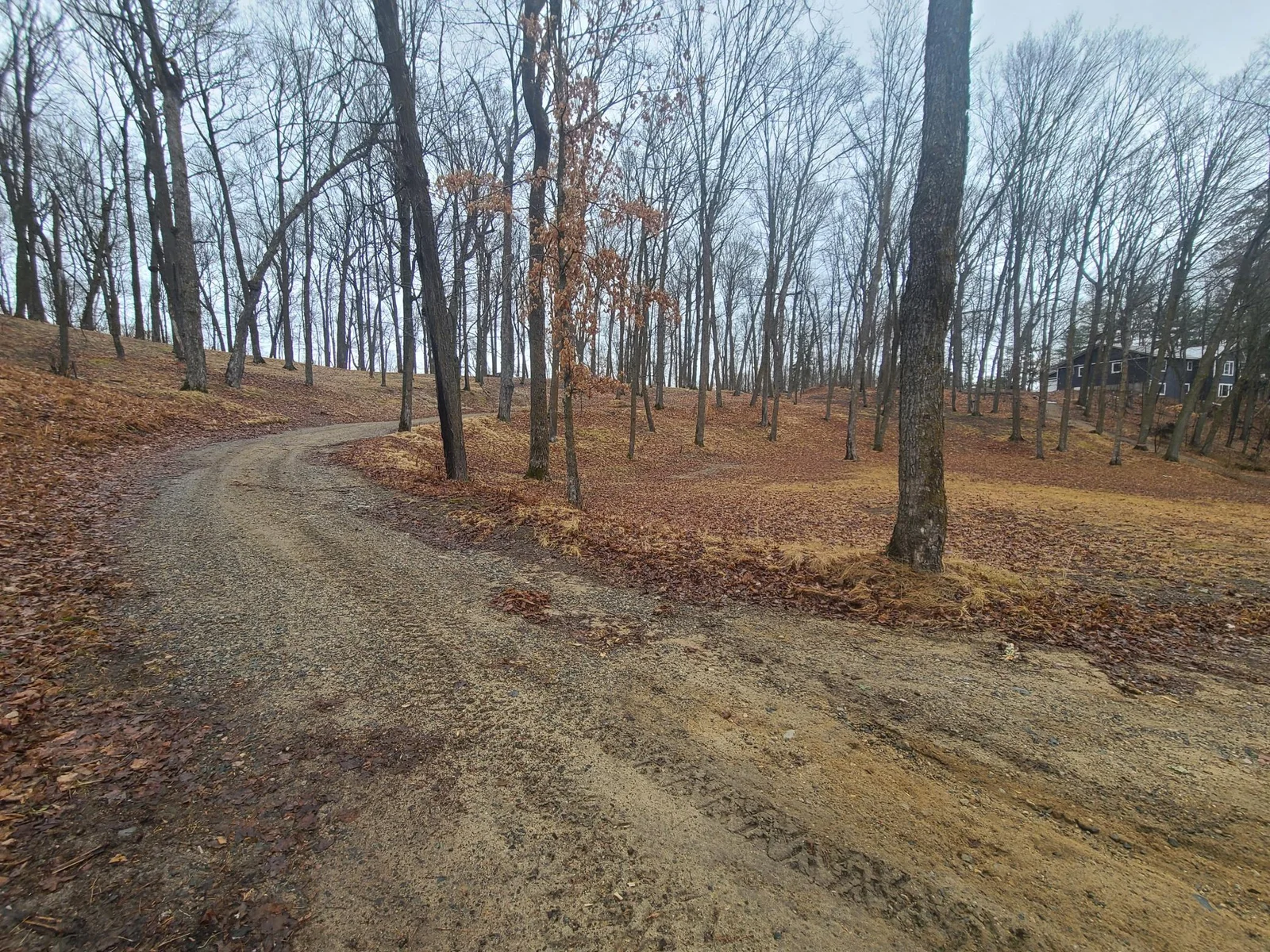 20240408_134551.jpg