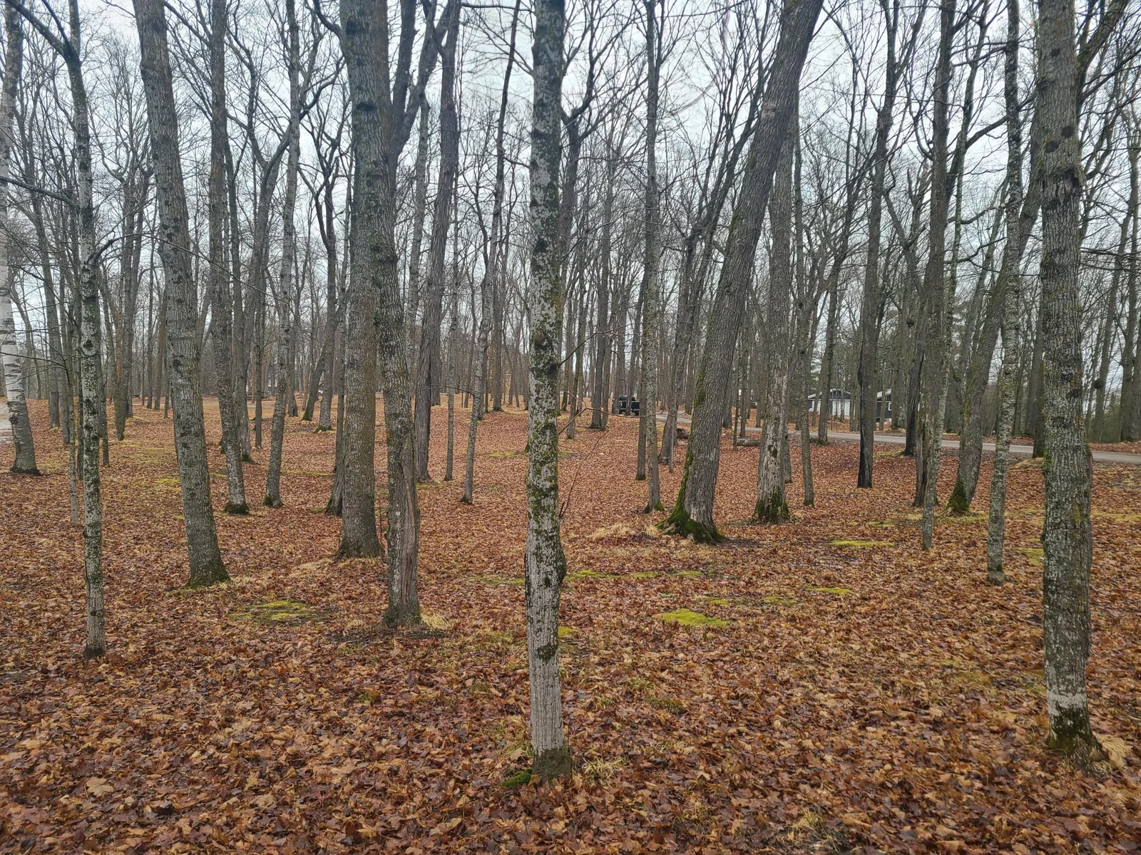 20240408_140729.jpg