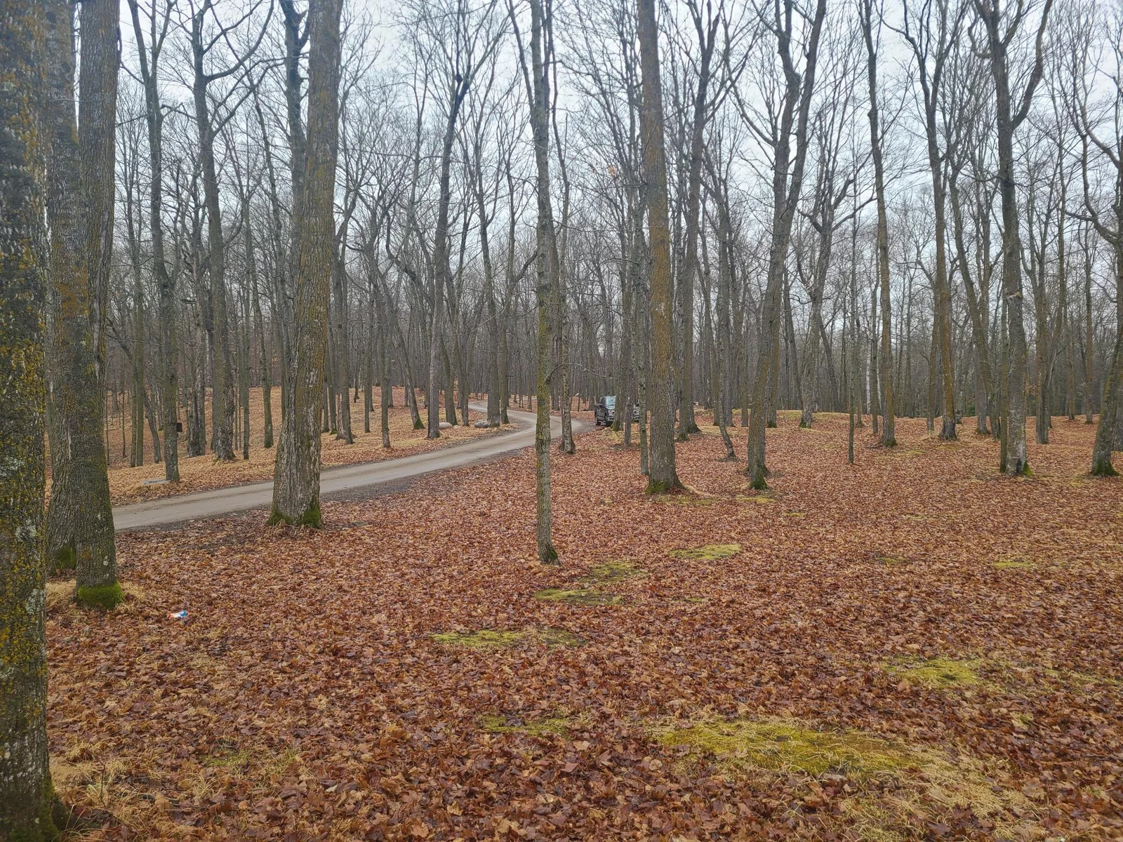 20240408_135501.jpg