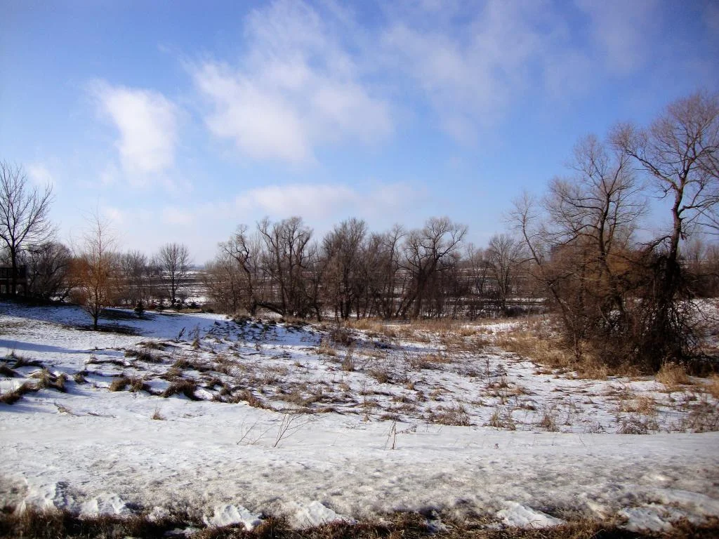 Trees surround the lot.