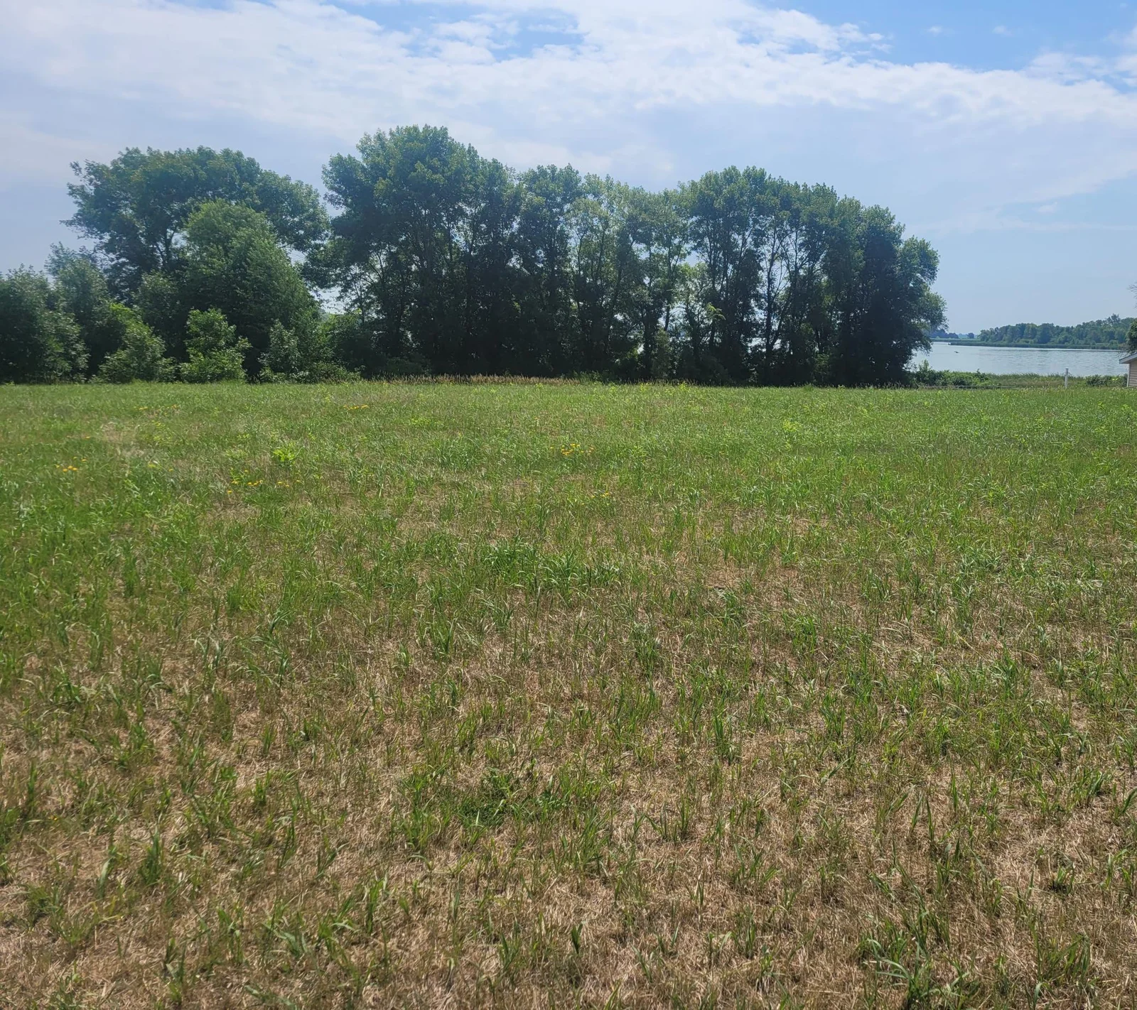 Easton LOT pic.jpg