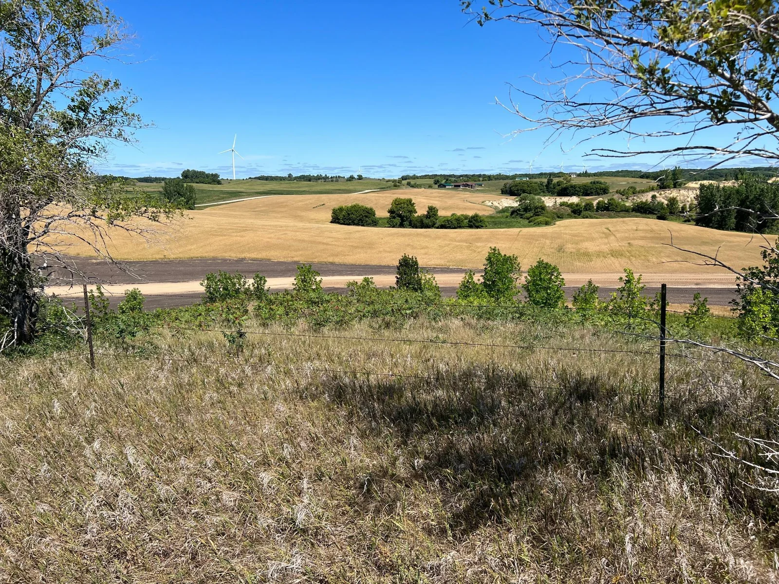IMG_2797.jpeg