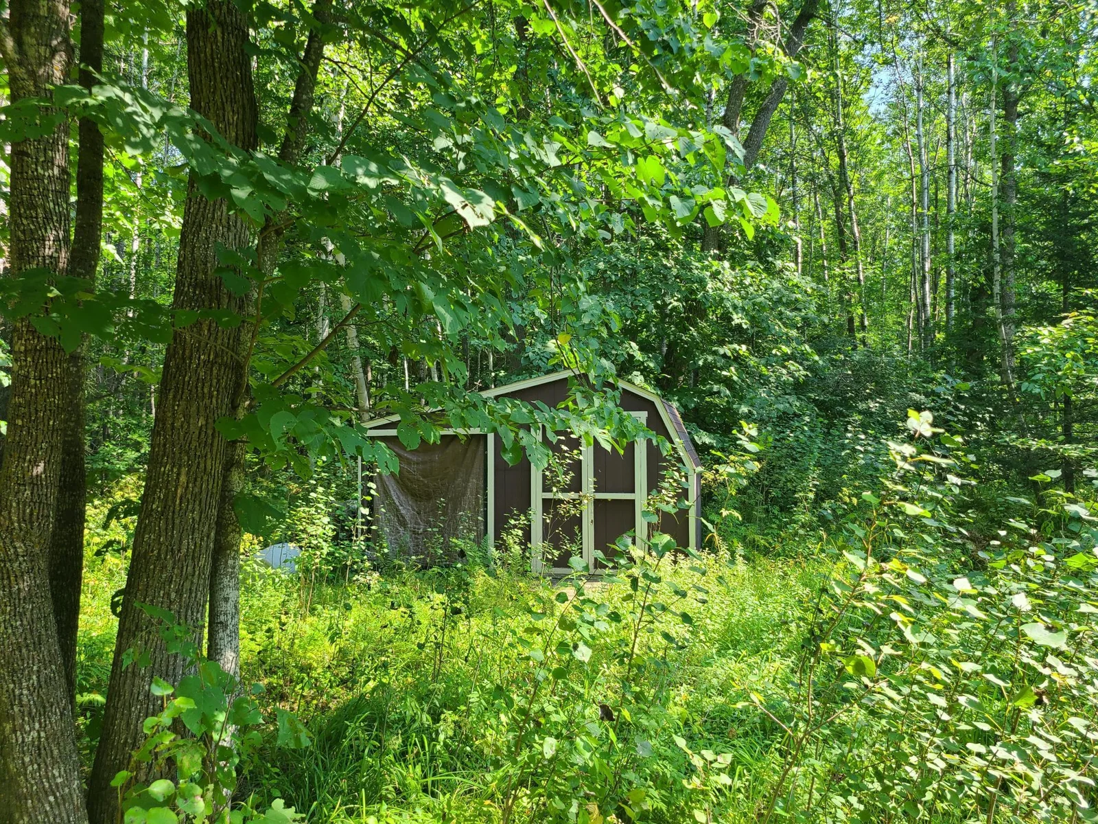 20230819_131613.jpg
