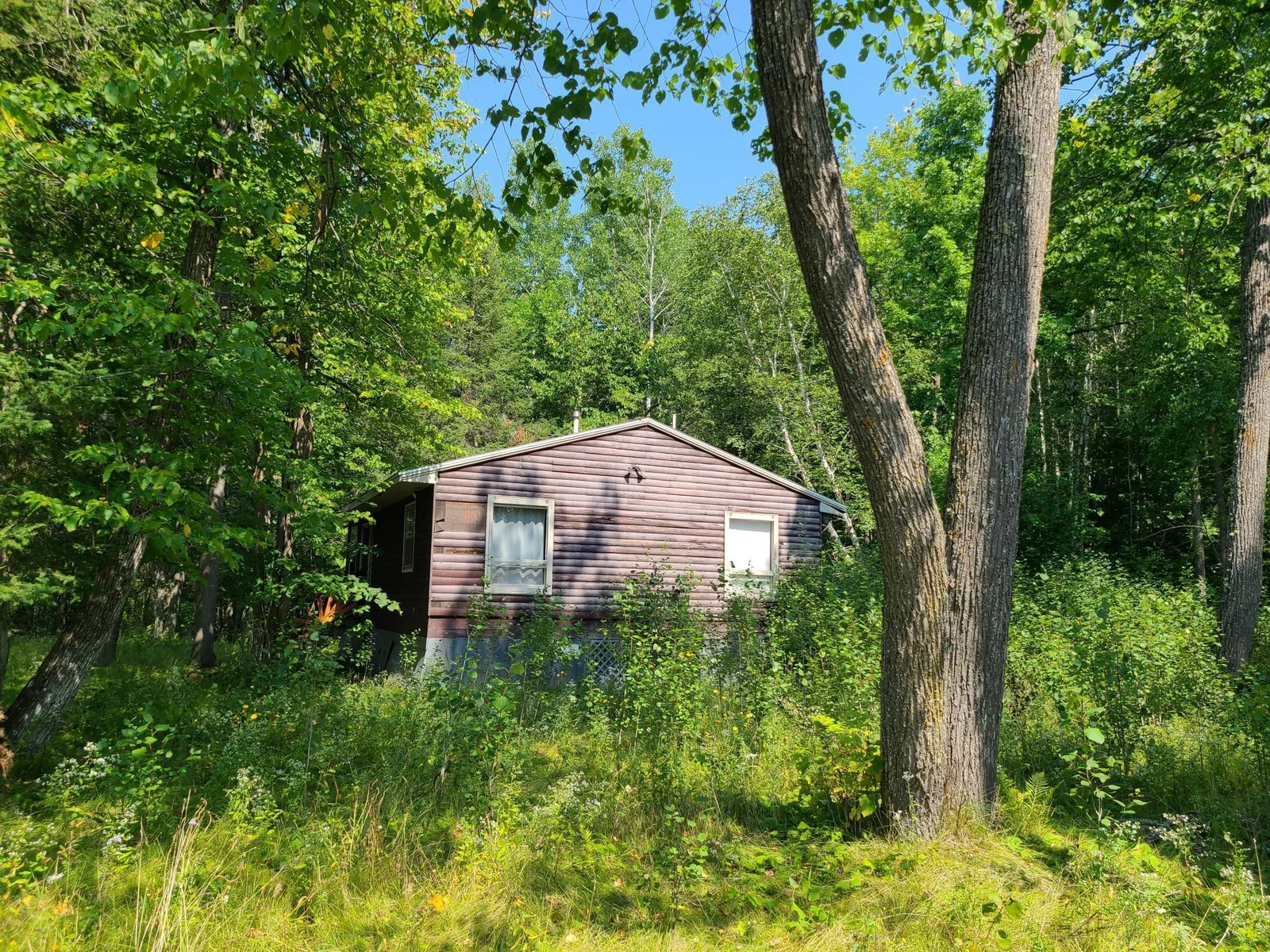 20230819_133157.jpg