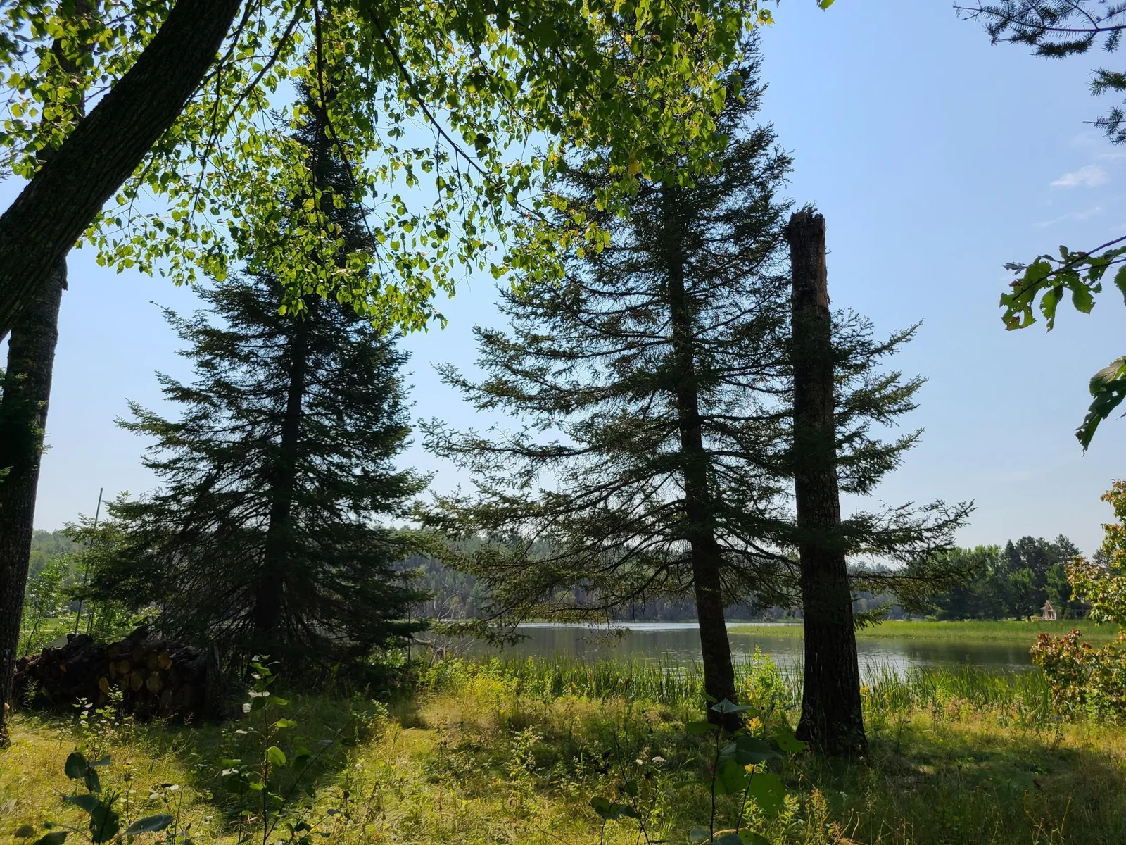 20230819_133139.jpg