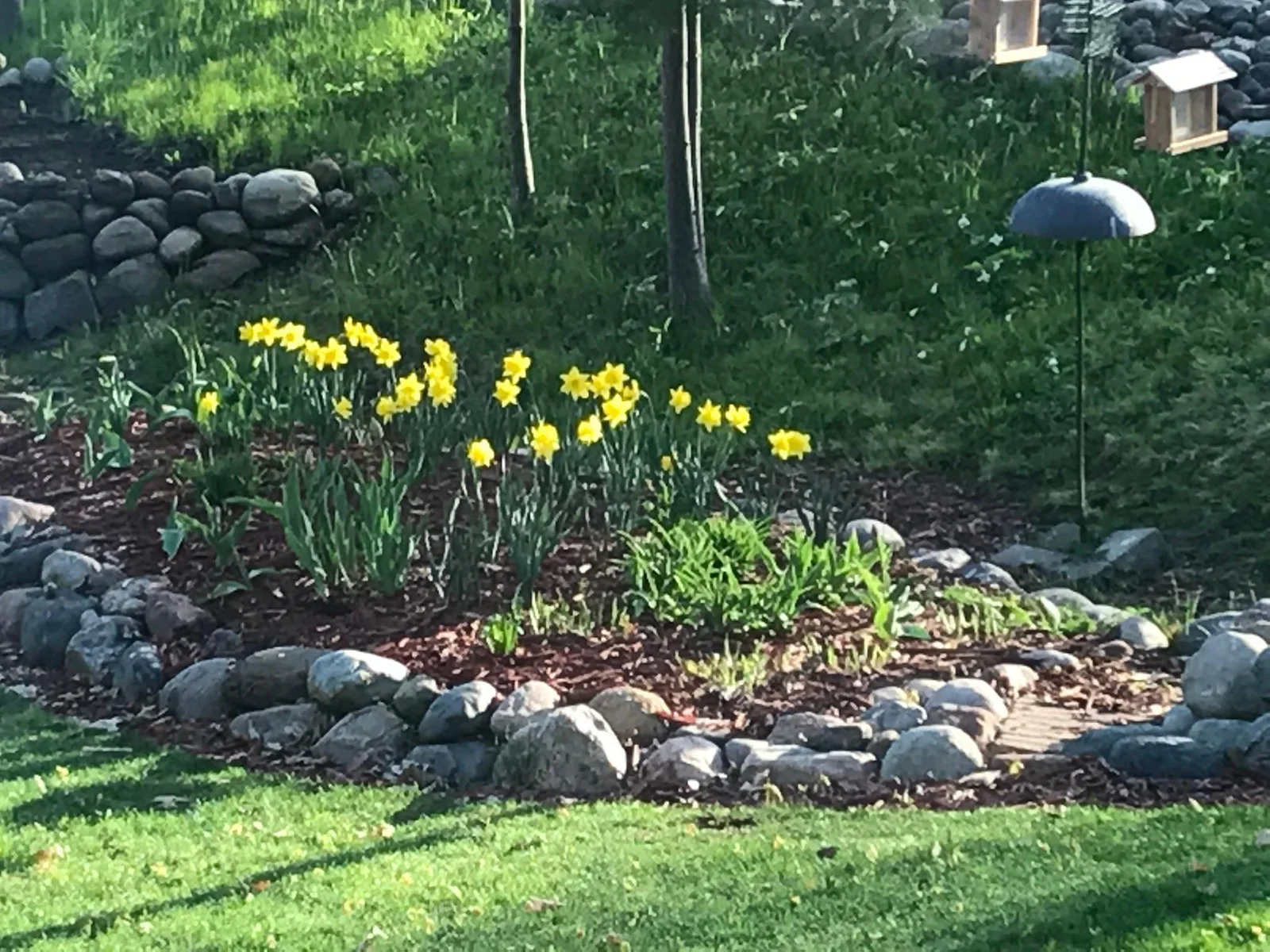 More gardens...