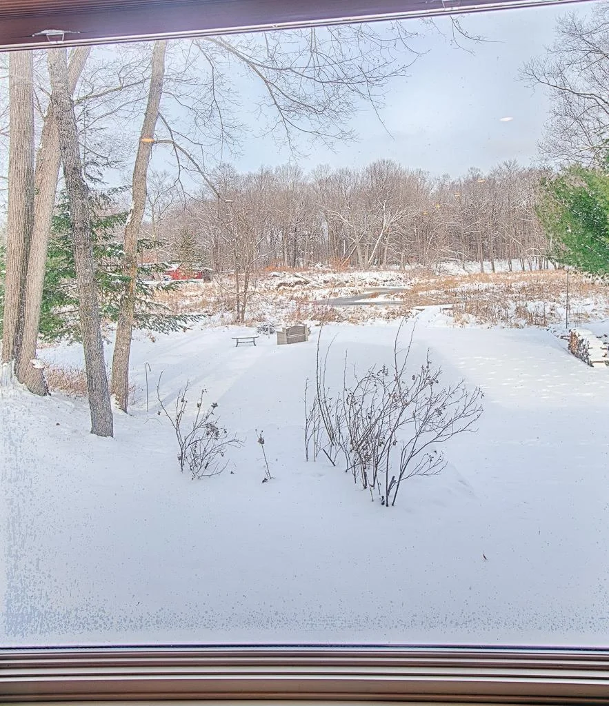 Amazing views from the large windows throughout - Borden Creek winds through the property and runs right into MilleLacs!