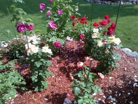 Lovely gardens all around!