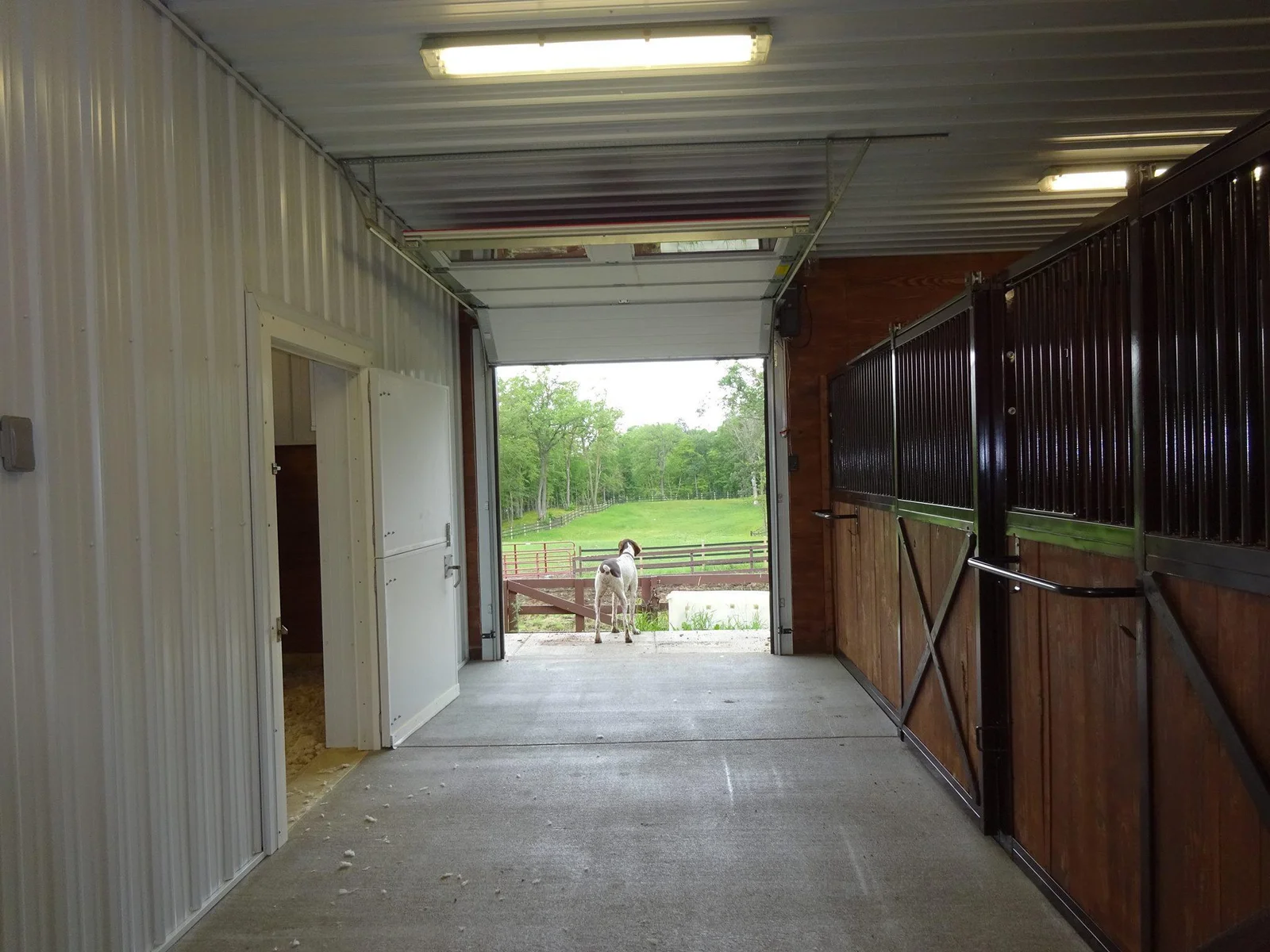 Barn 2