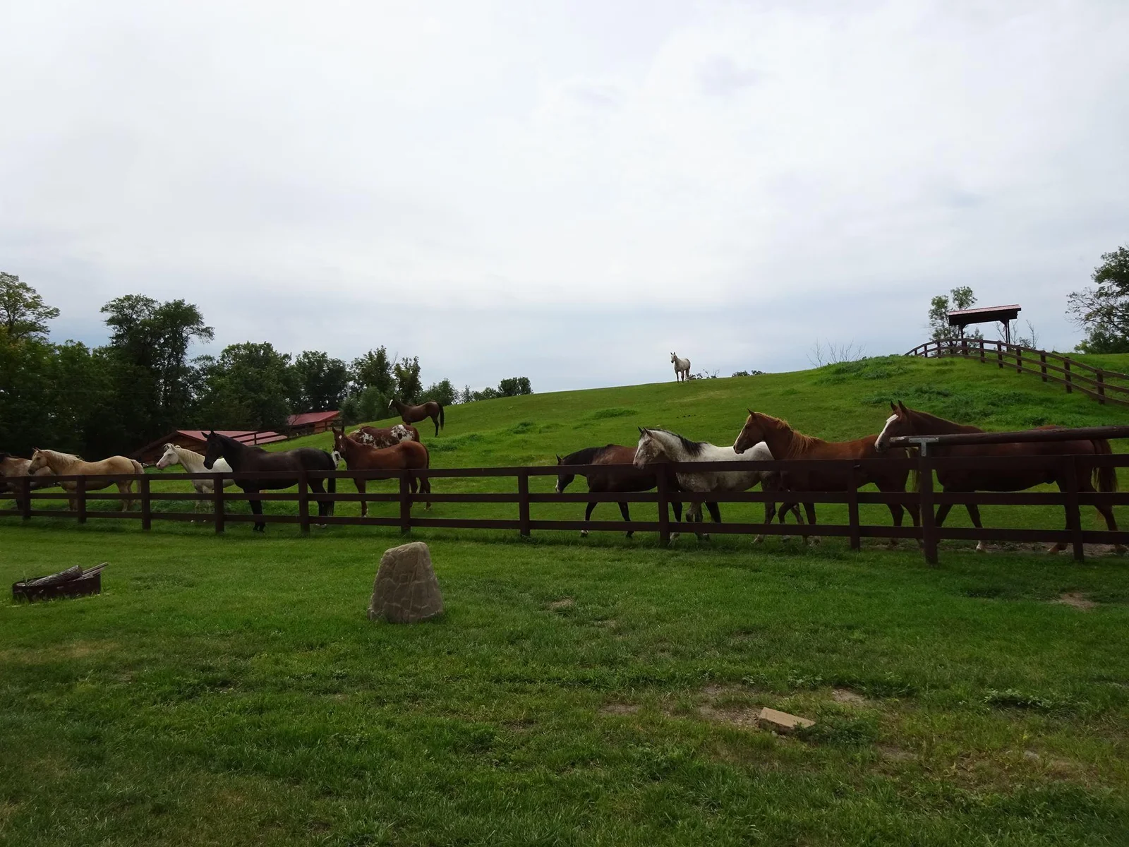 Pasture