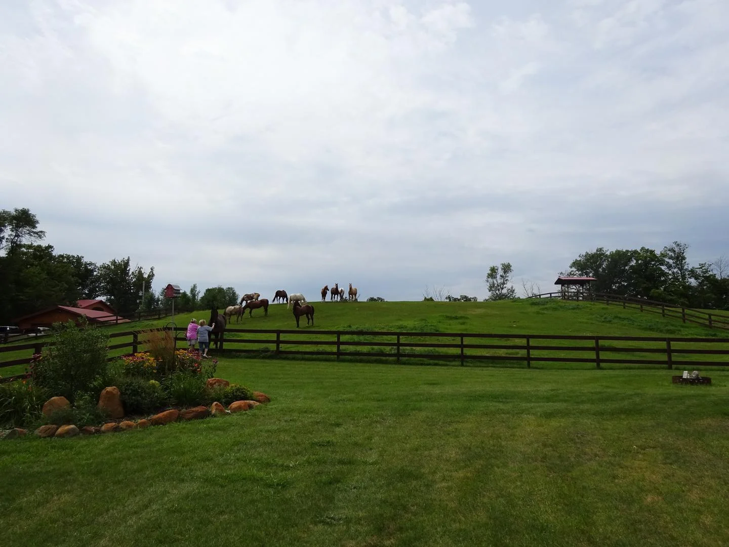 Pasture