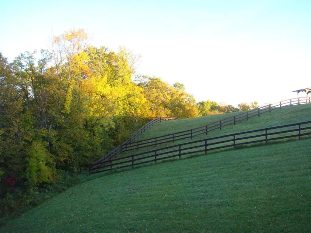 Thumbnail photo 36