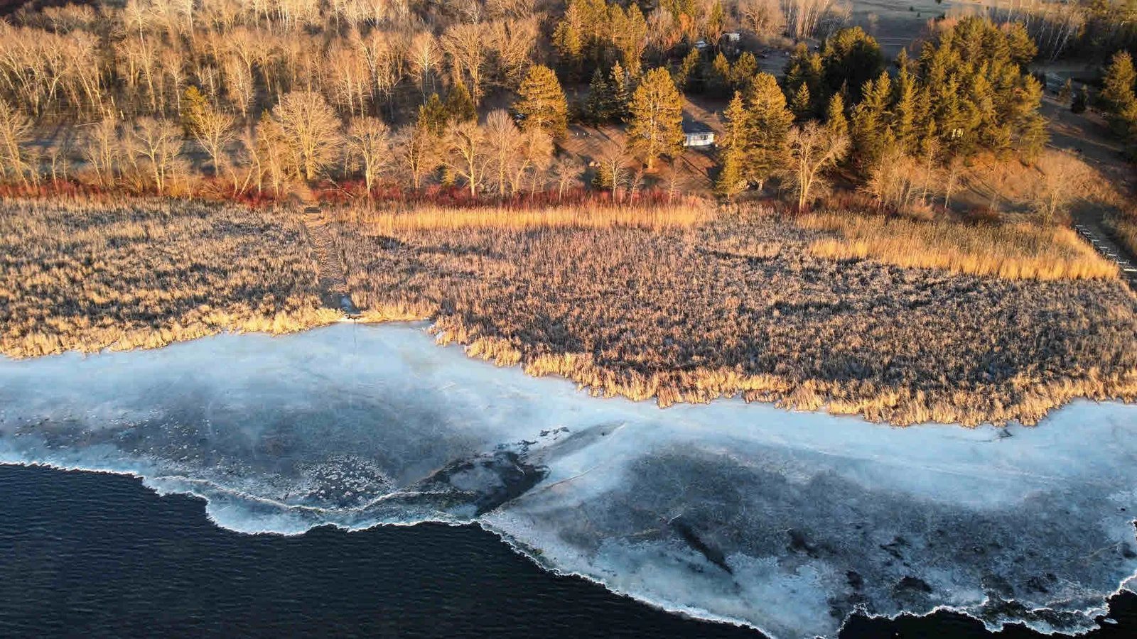 Aerial from the lake.jpg