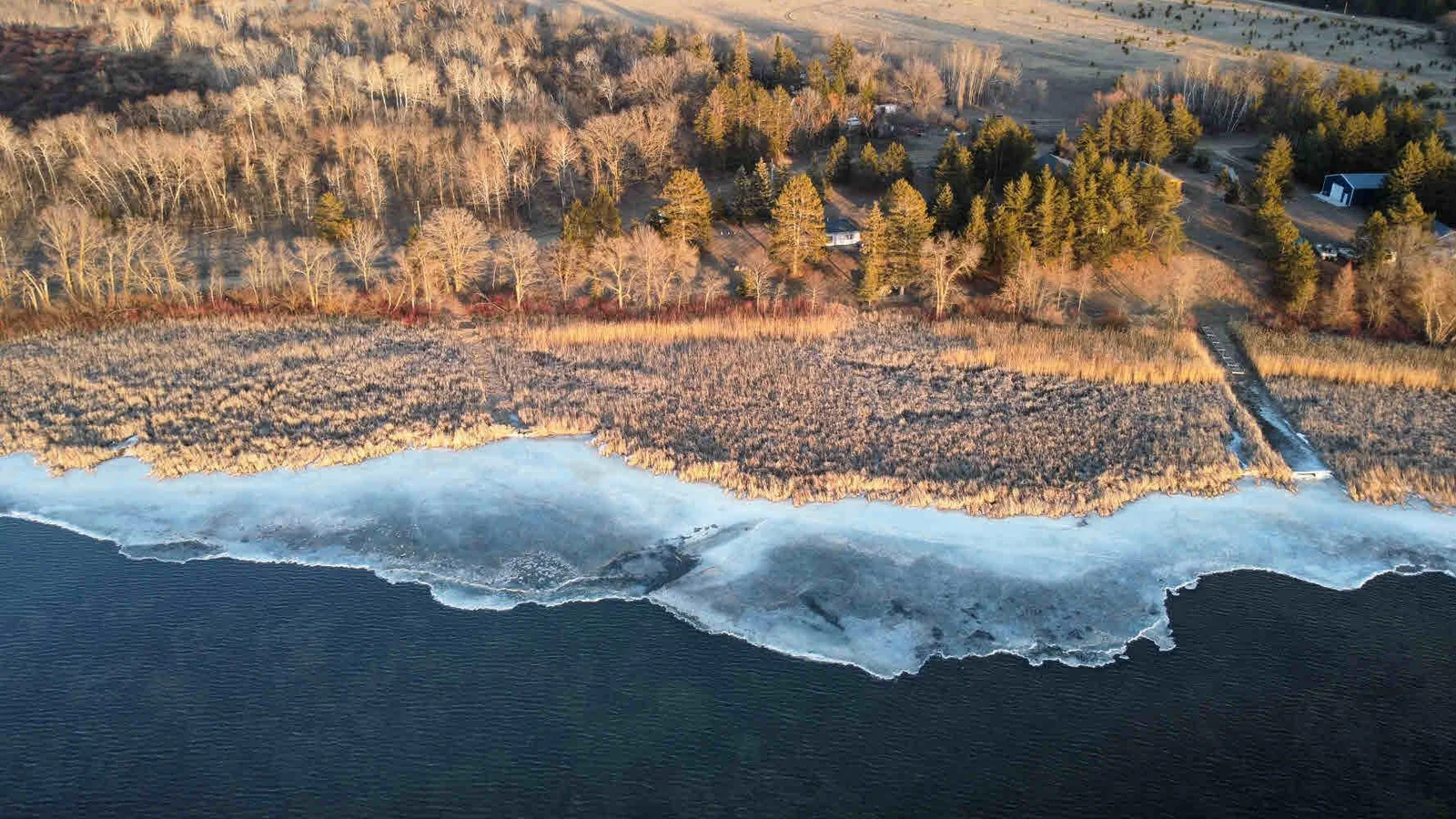 Aerial above lake shore.jpg