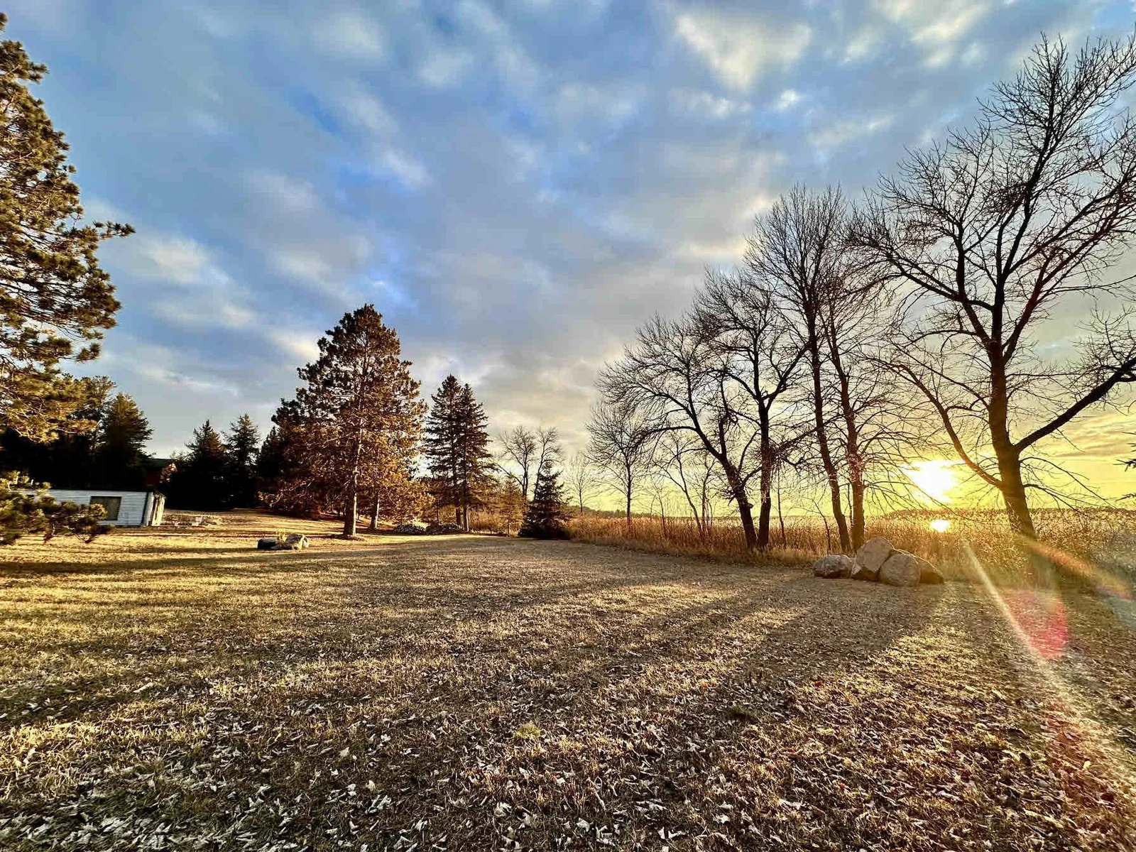 Yard looking south.jpg
