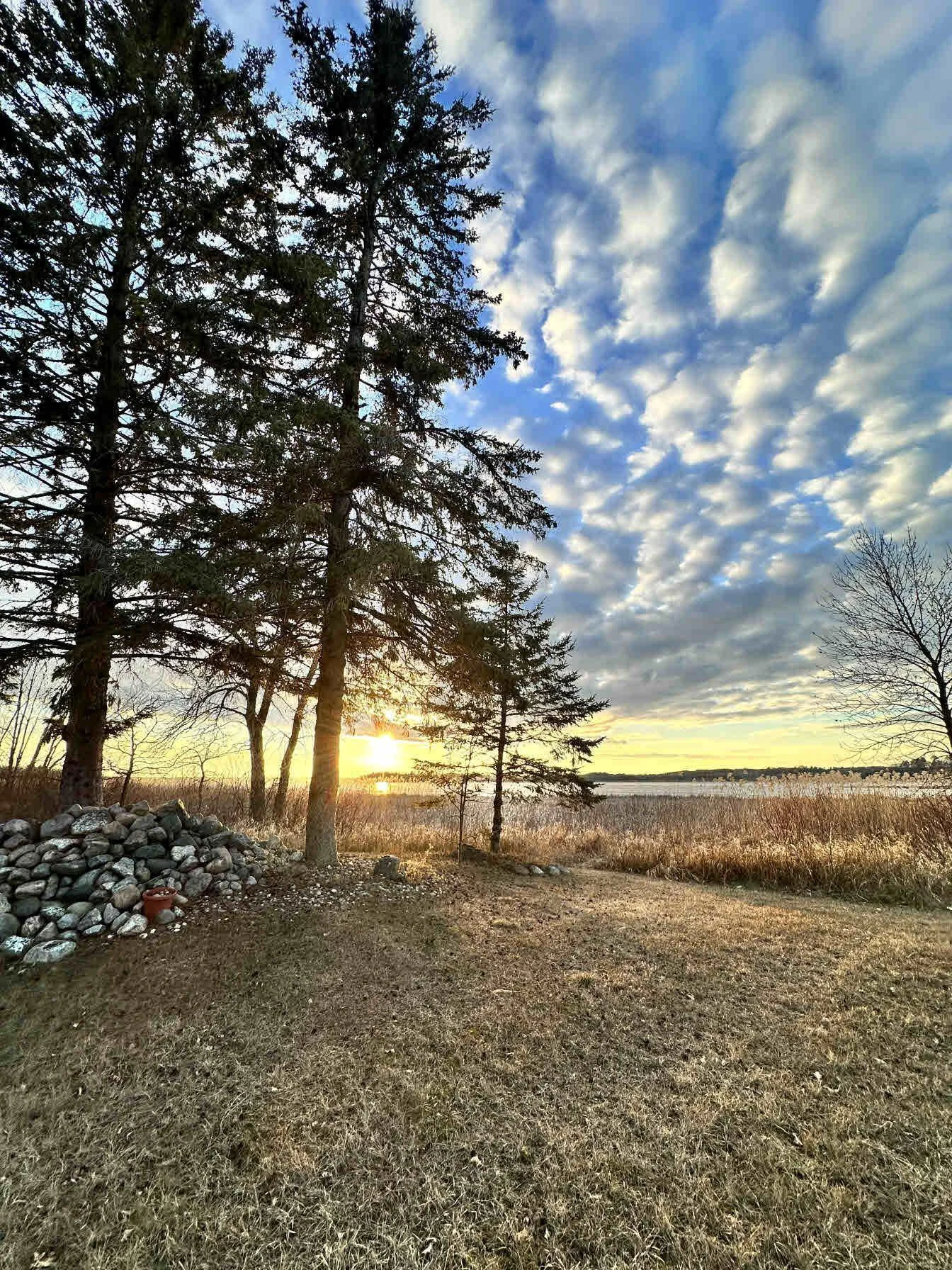 Near shoreline.jpg