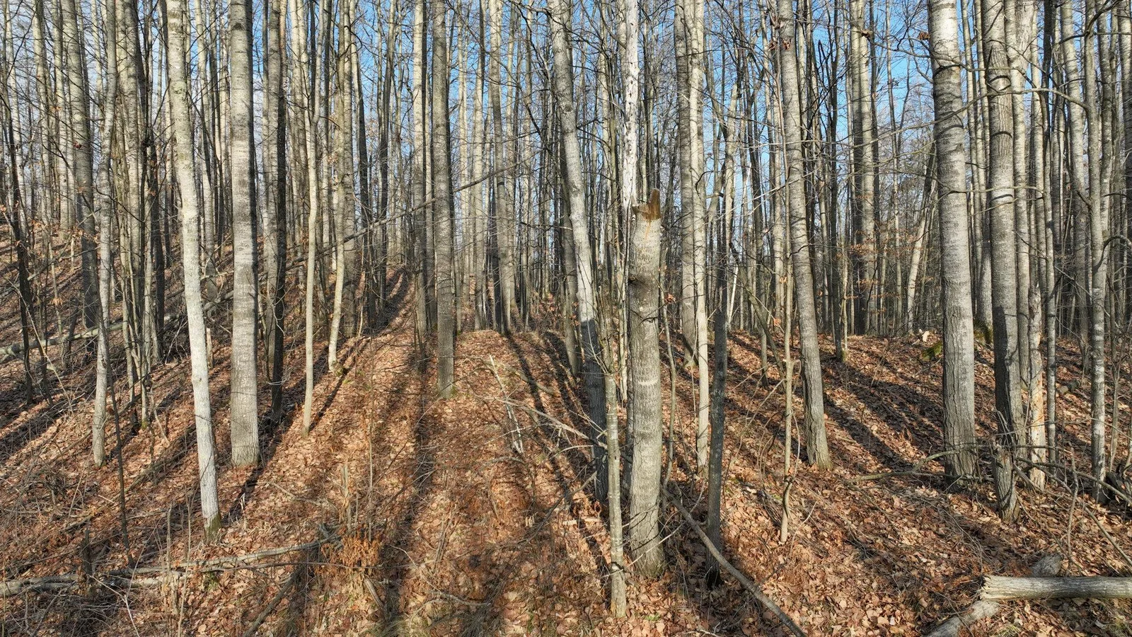 001_dji_0654.jpg