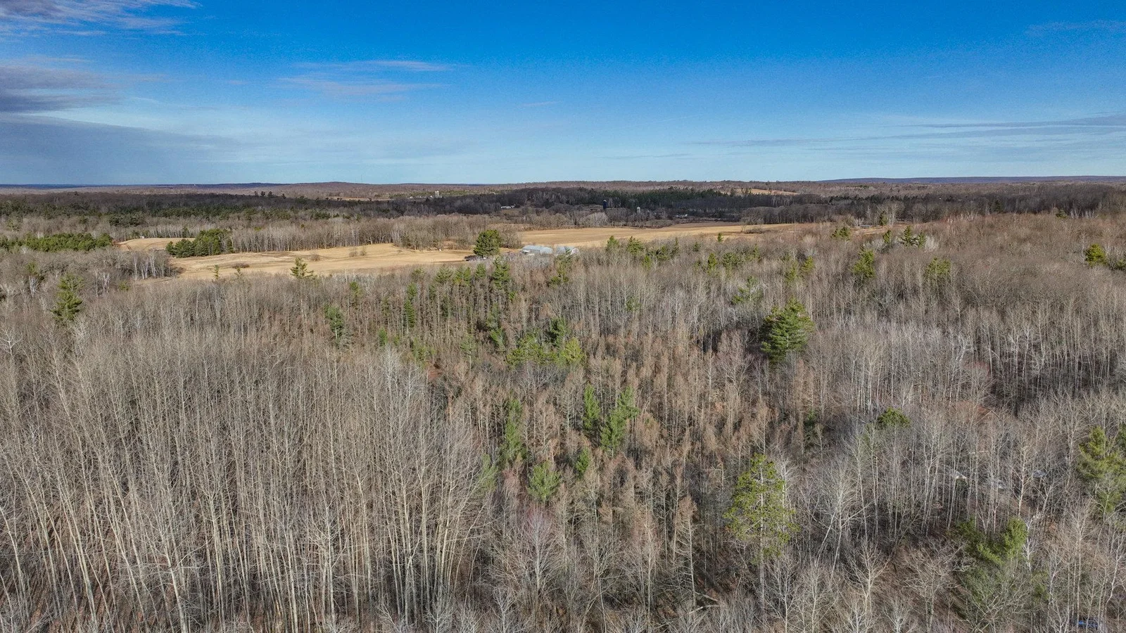 004_dji_0664.jpg