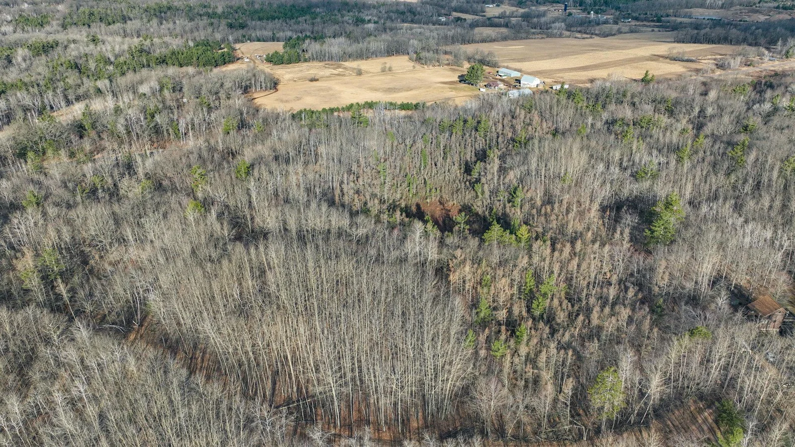 014_dji_0676.jpg