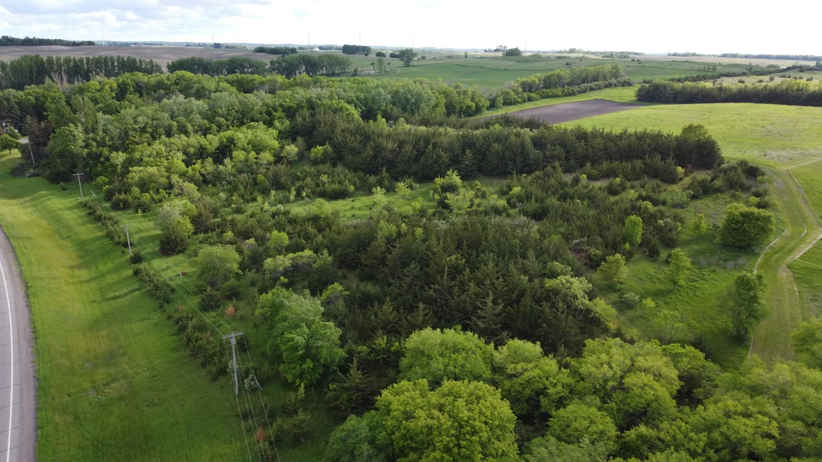 DJI_0020.JPG