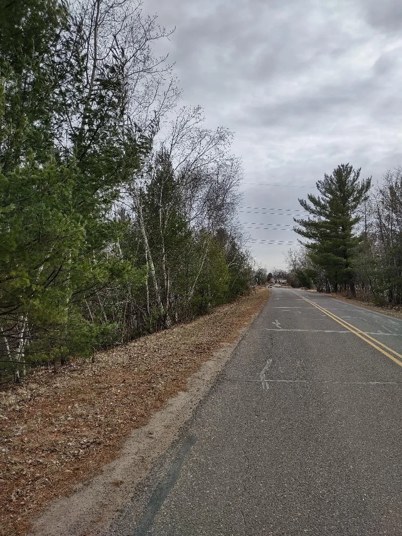 Woods along Tamarack St.