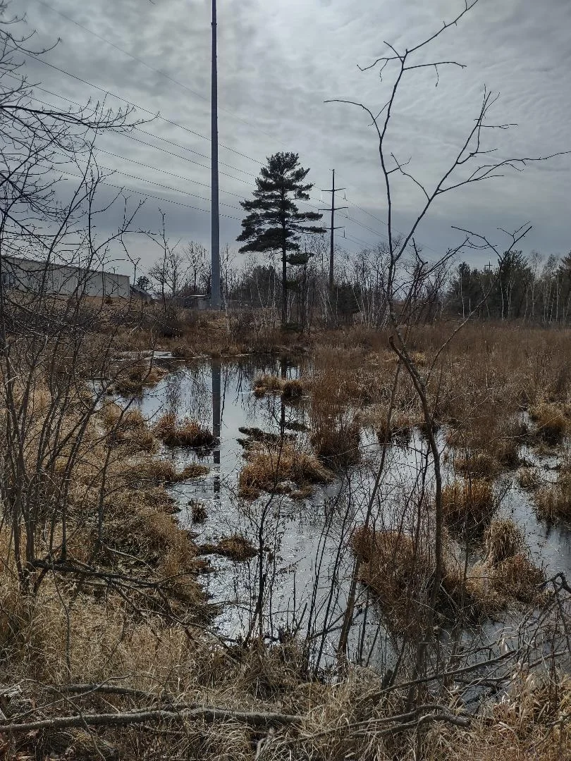 Pond next to Bldg Site