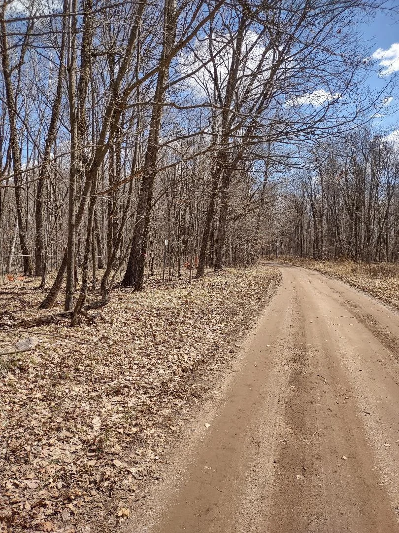 Durphee Ln (Looking east)