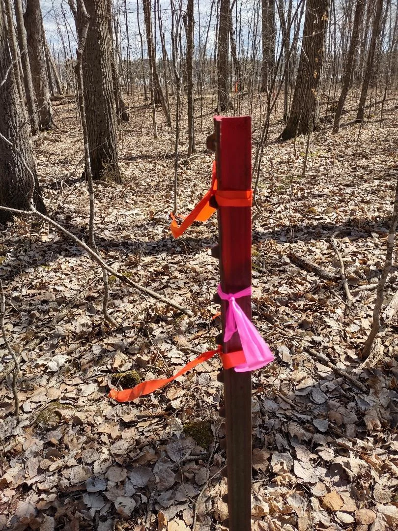 Survey Stake (Corner)