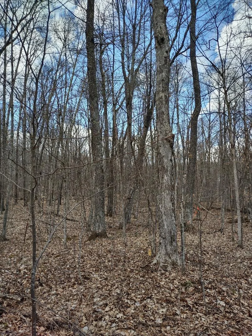 Hardwoods