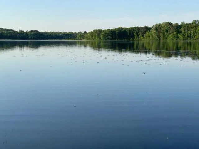 Lake view in summer