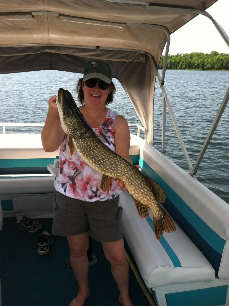 Northern caught on Knight Lake