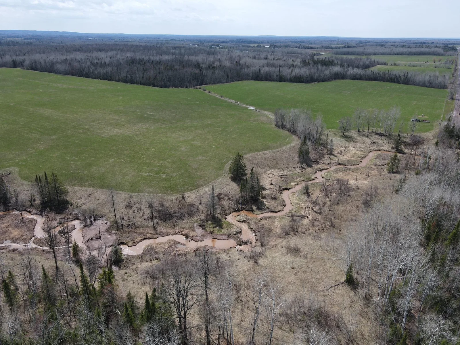 Photo 1 of 11 Gulley