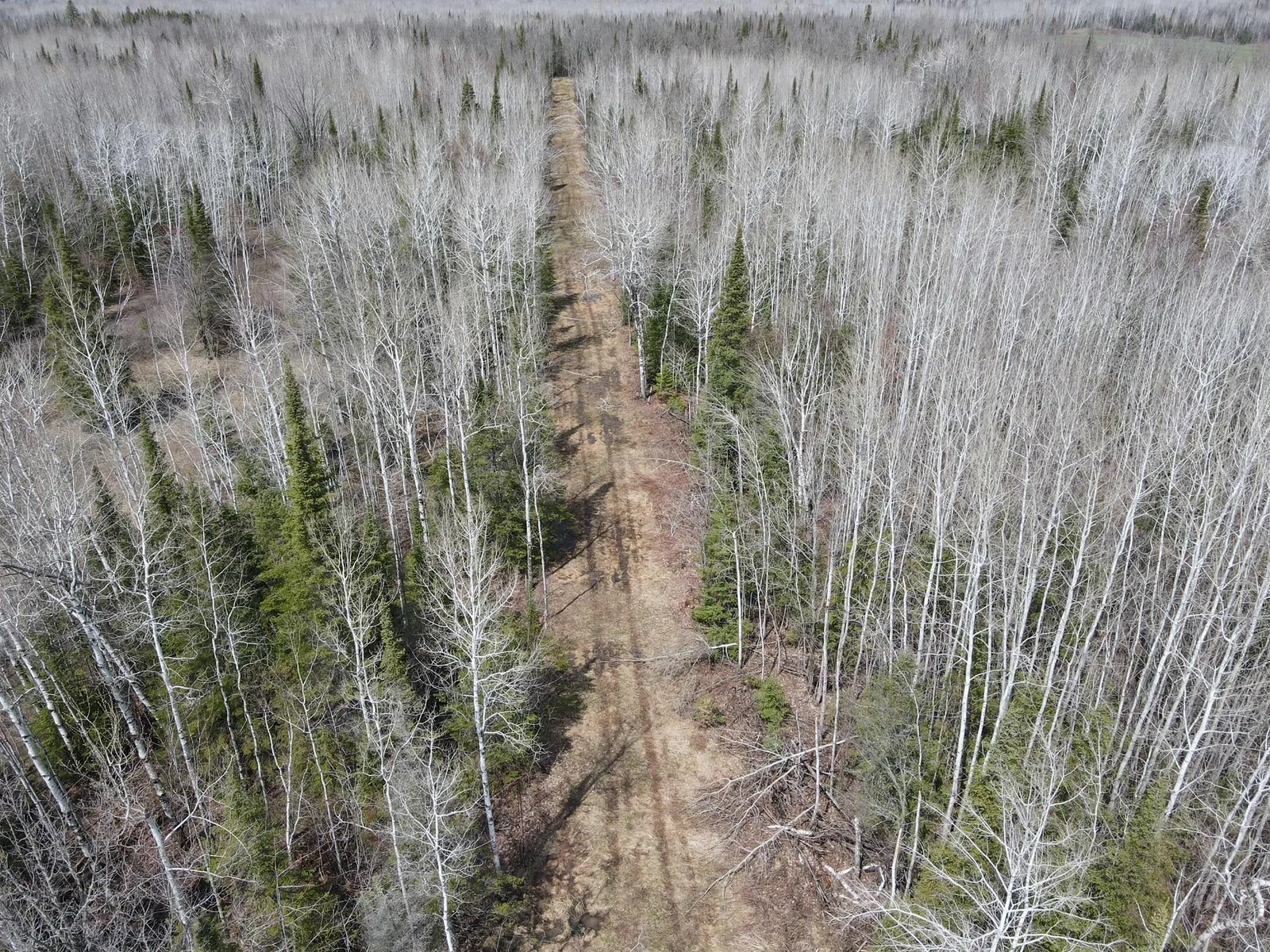 Trails