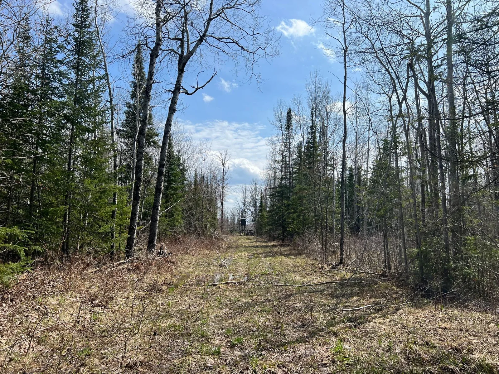 Trails