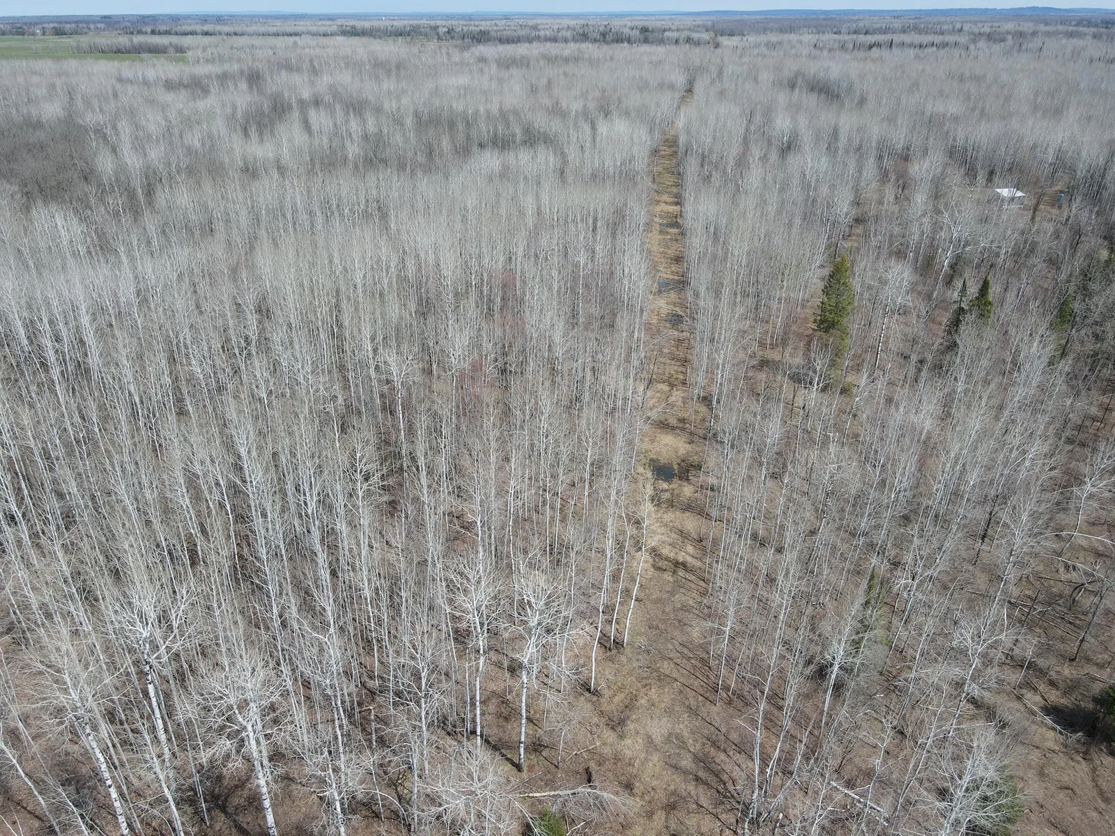 Trails