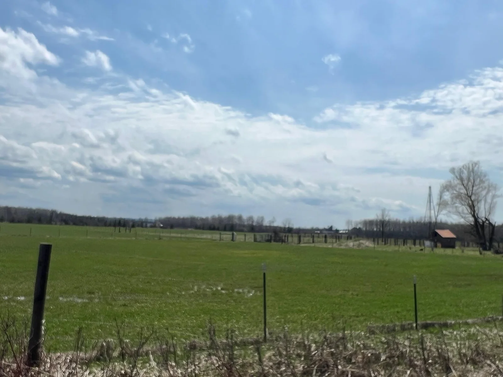 Pasture land