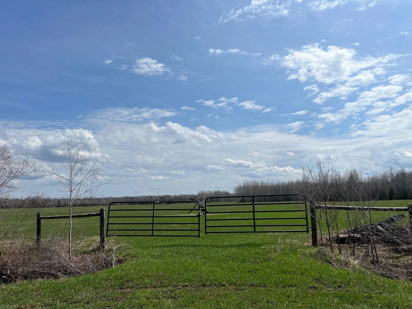 Pasture land