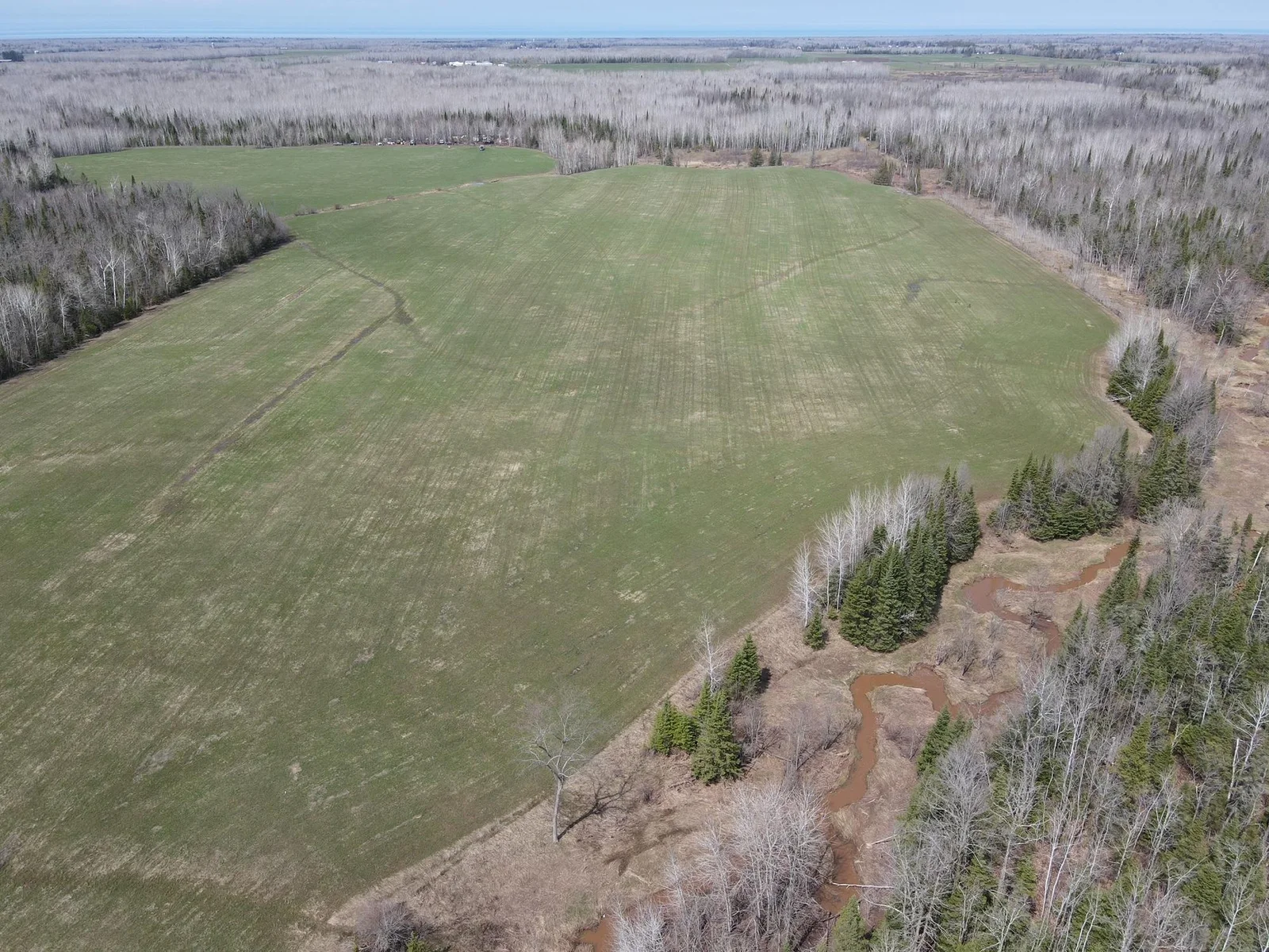 East side of land facing North