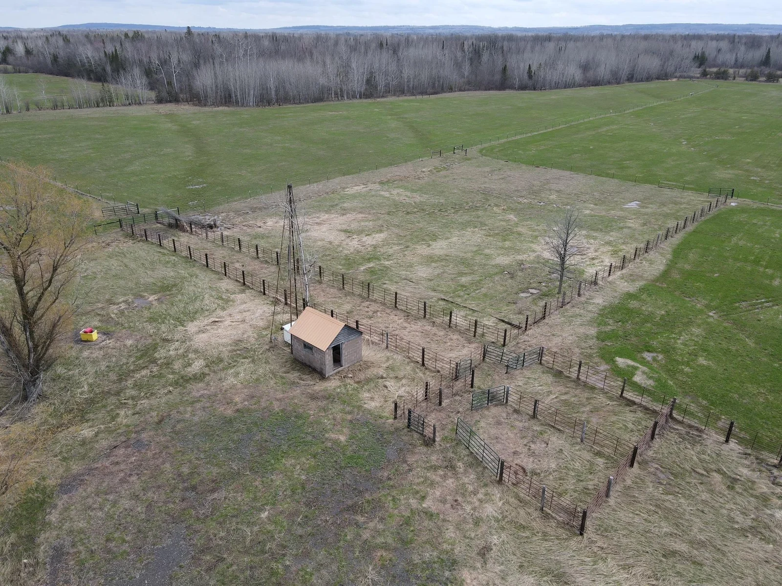 Corral, Well and Waterer
