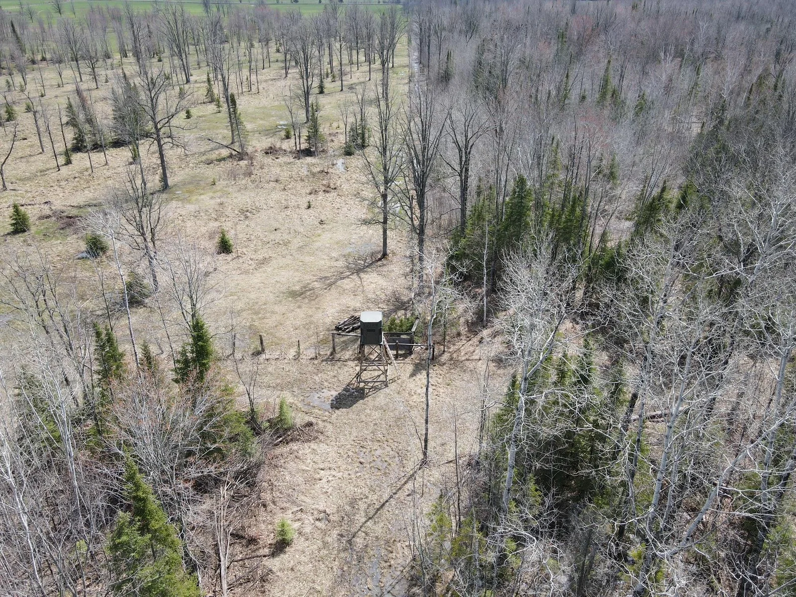 Deer Stand