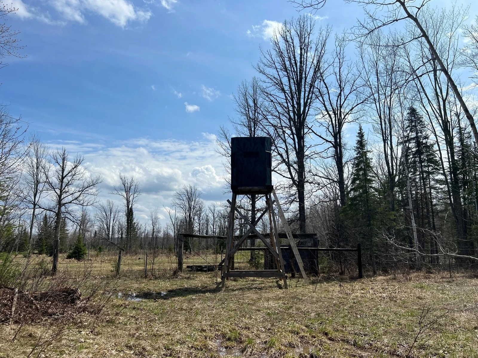 Deerstand