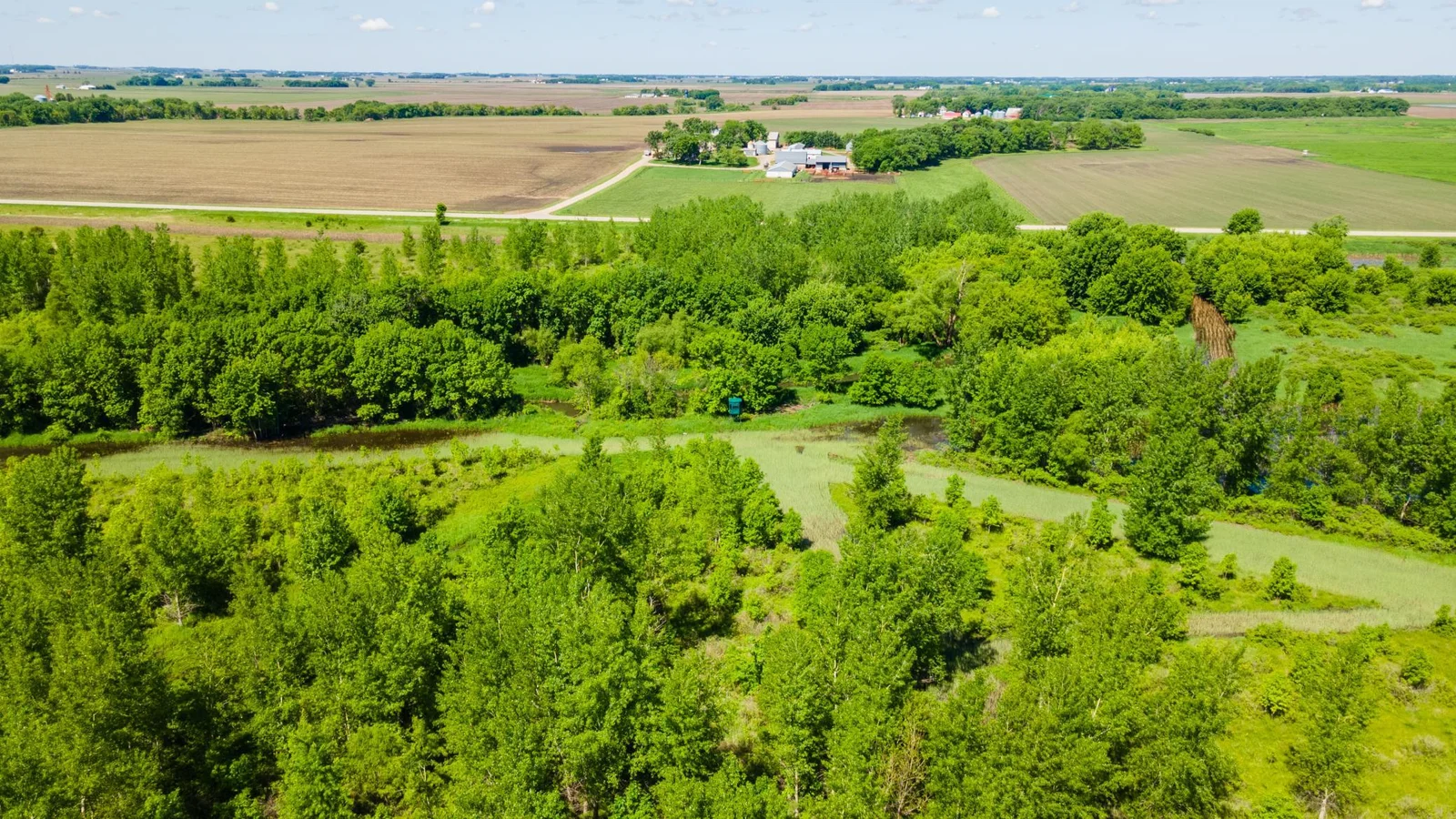 DJI_0464.jpg