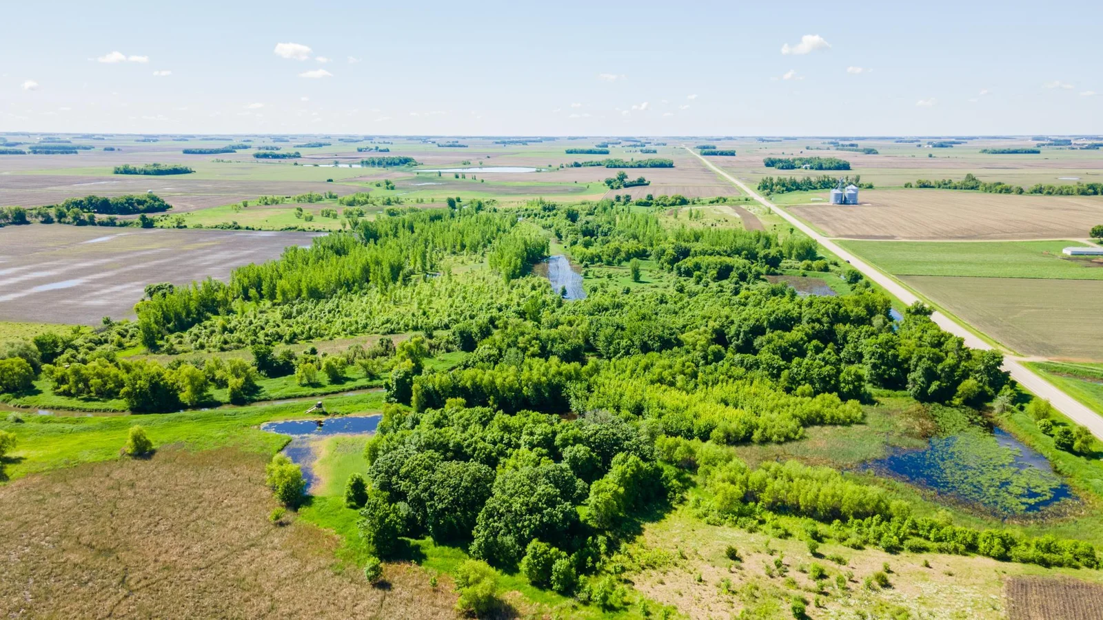 DJI_0449.jpg