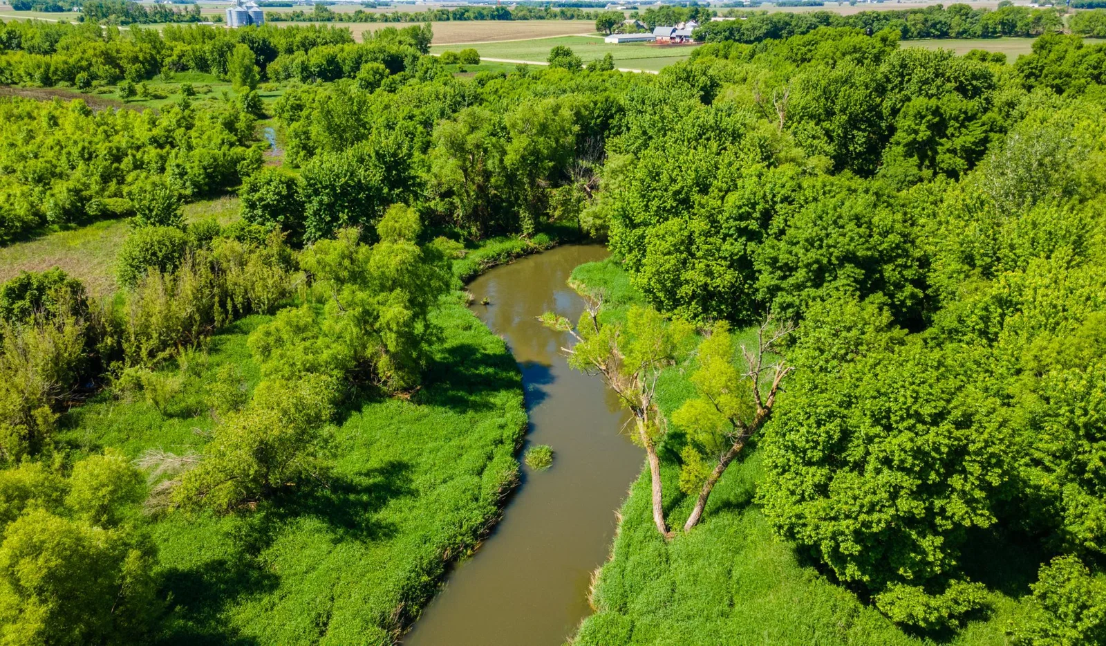 DJI_0454.jpg