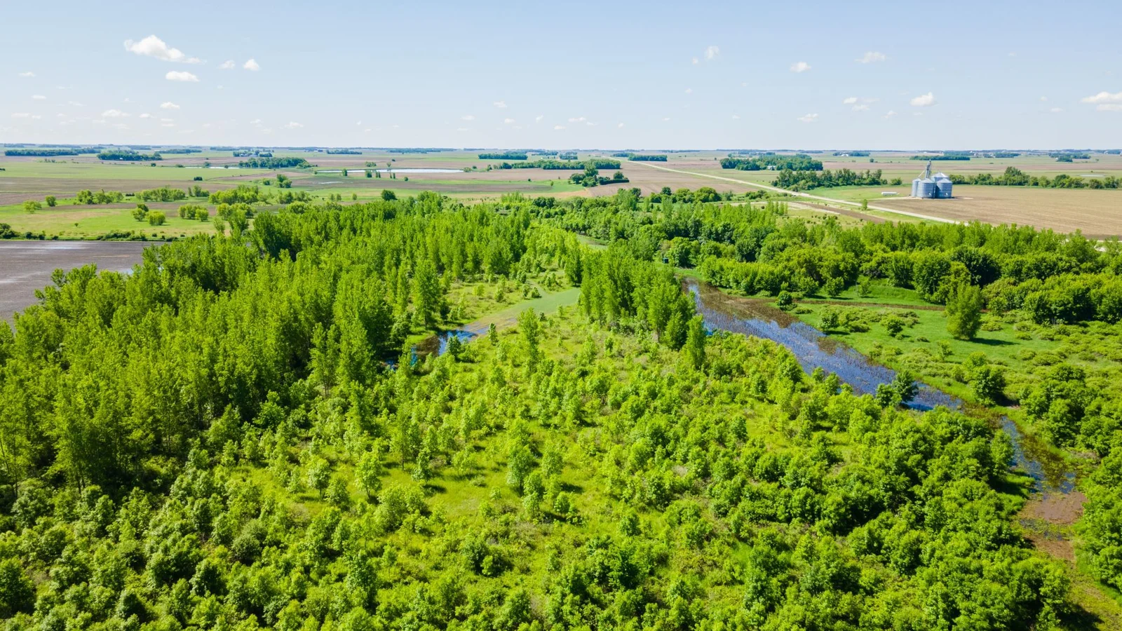 DJI_0455.jpg