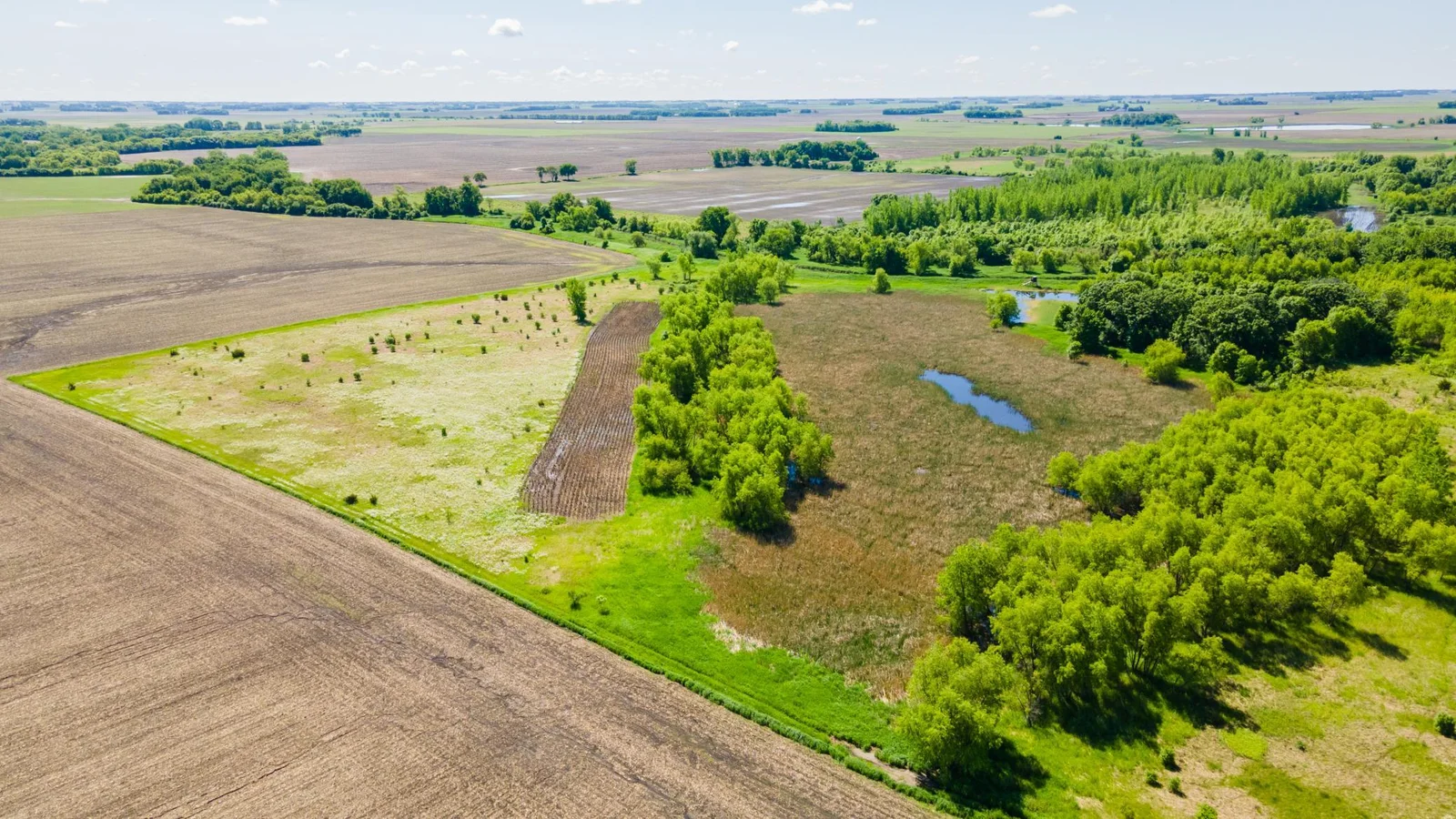 DJI_0448.jpg