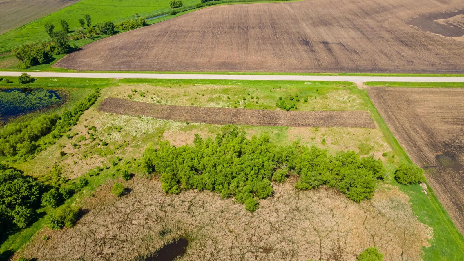 DJI_0444.jpg