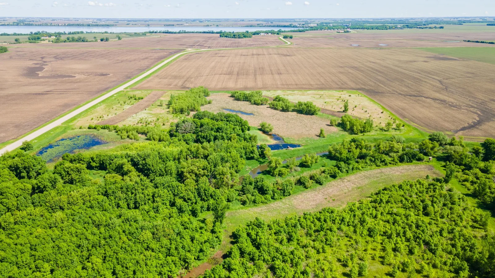 DJI_0439.jpg