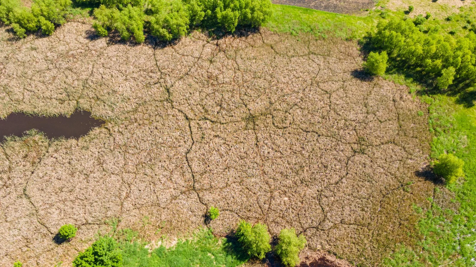 DJI_0443.jpg