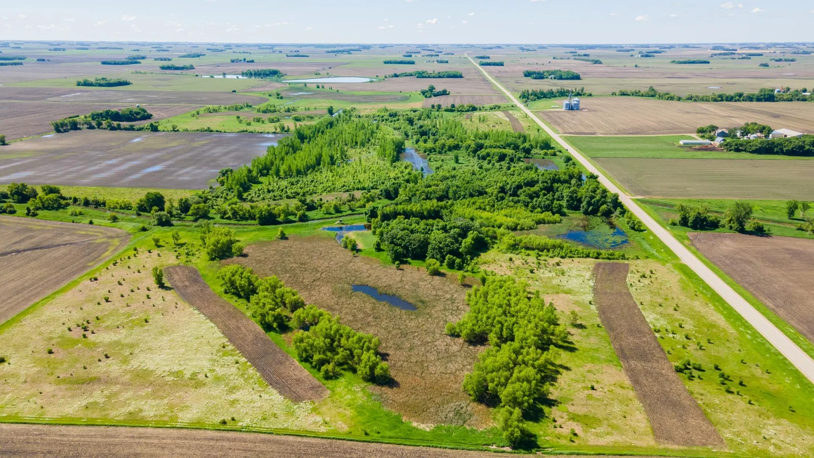 DJI_0445.jpg